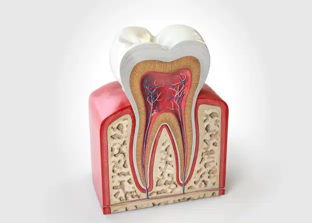 root canal treatment in brooklyn heights